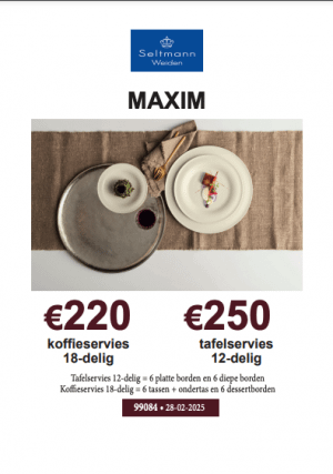 Seltmann Weiden Maxim